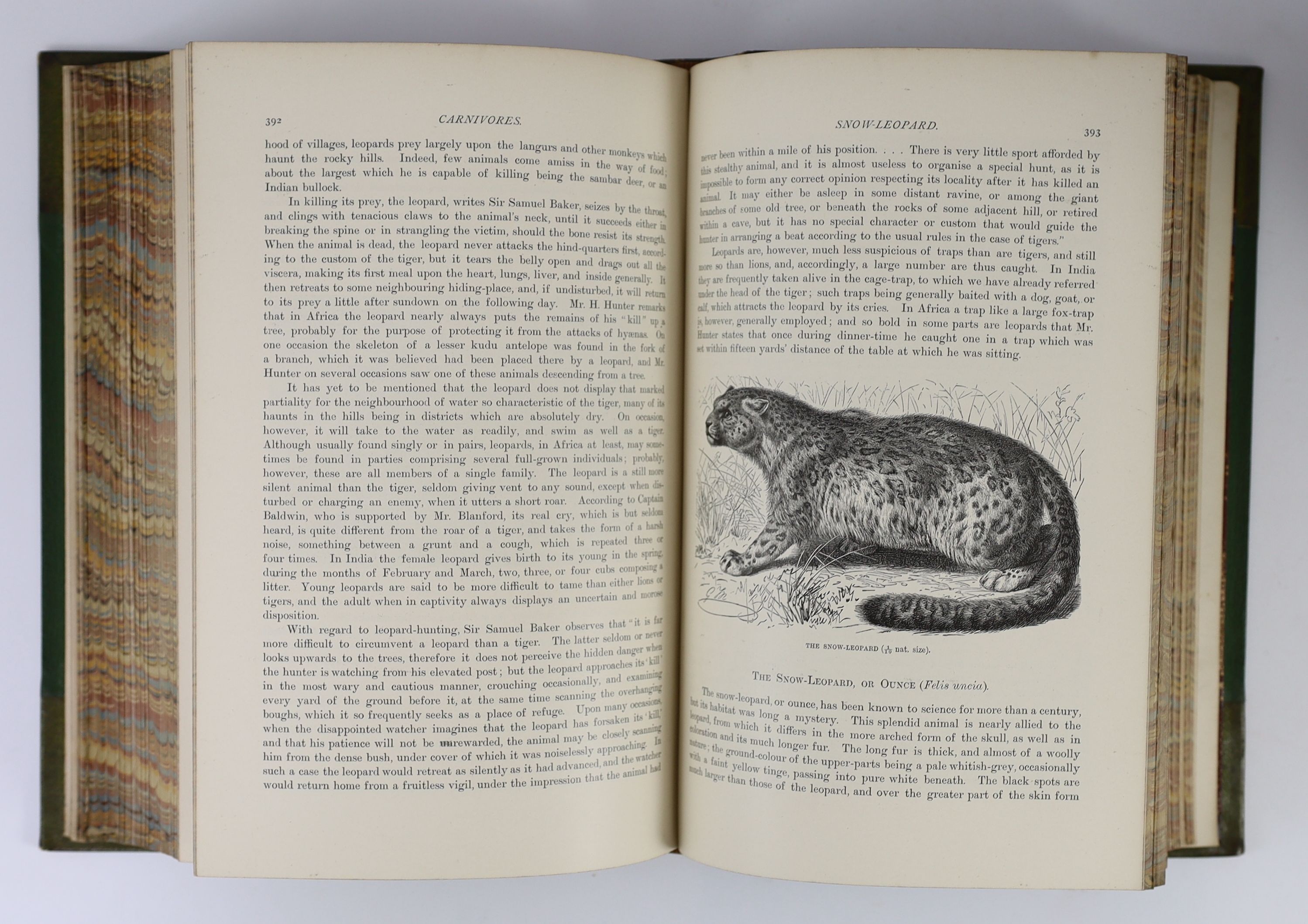 Lydekker, Richard (editor) - The Royal Natural History, 1st edition, 6 vols, 4to, half green morocco, with 66 chromolithographs, Frederick Warne & Co., London, 1893-96